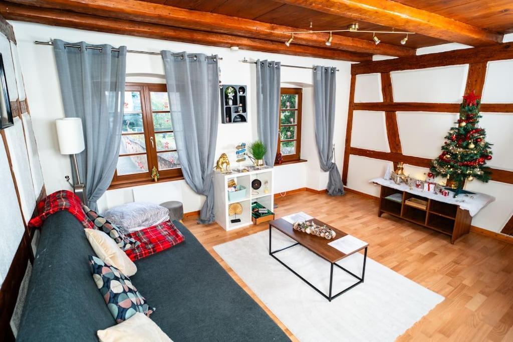 Refuge Des Vignerons - Turckheim Apartment Exterior foto